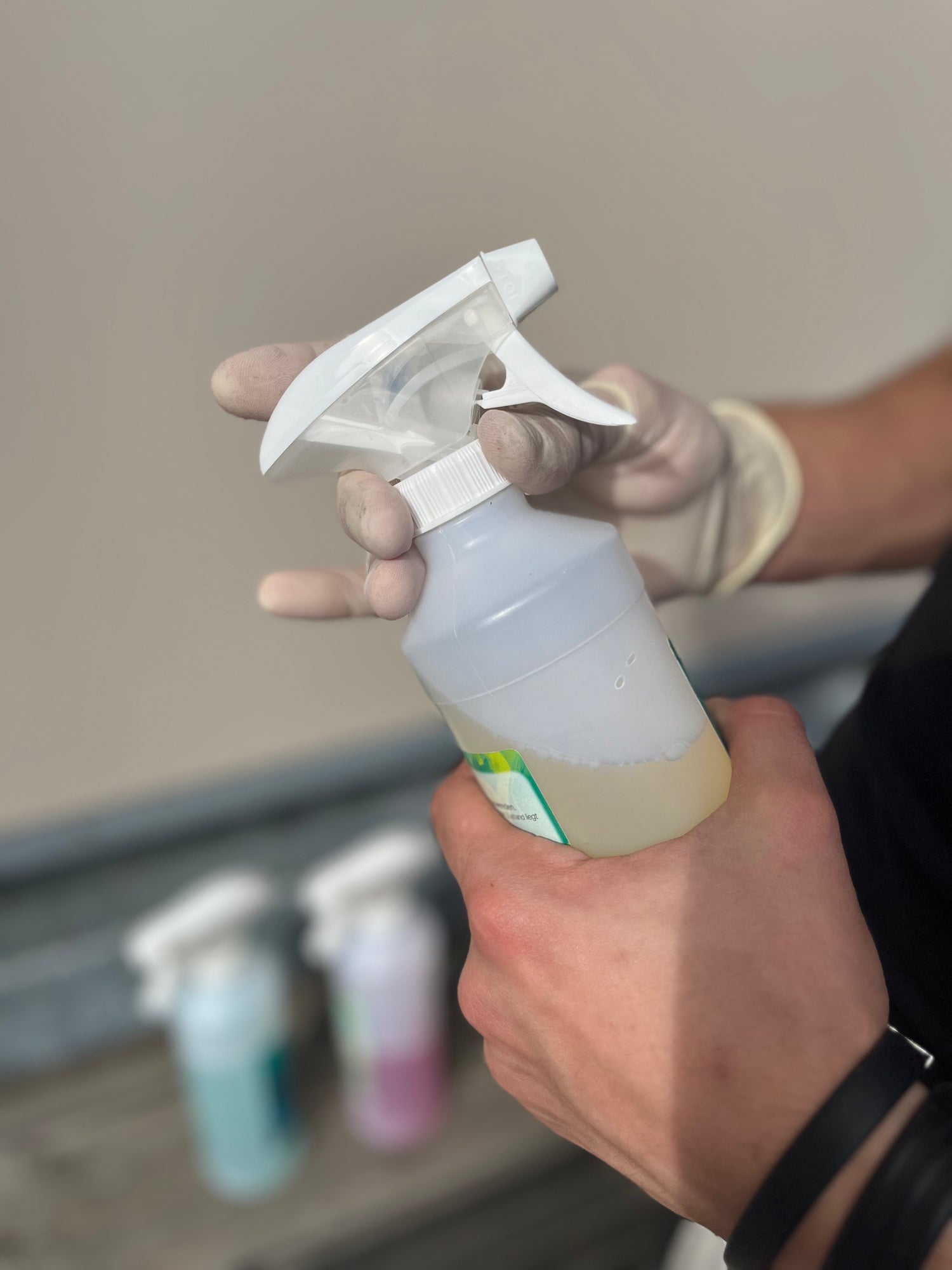 EhmelStuff Nachhaltige Reinigungsmittel Chemiefrei Reinigen