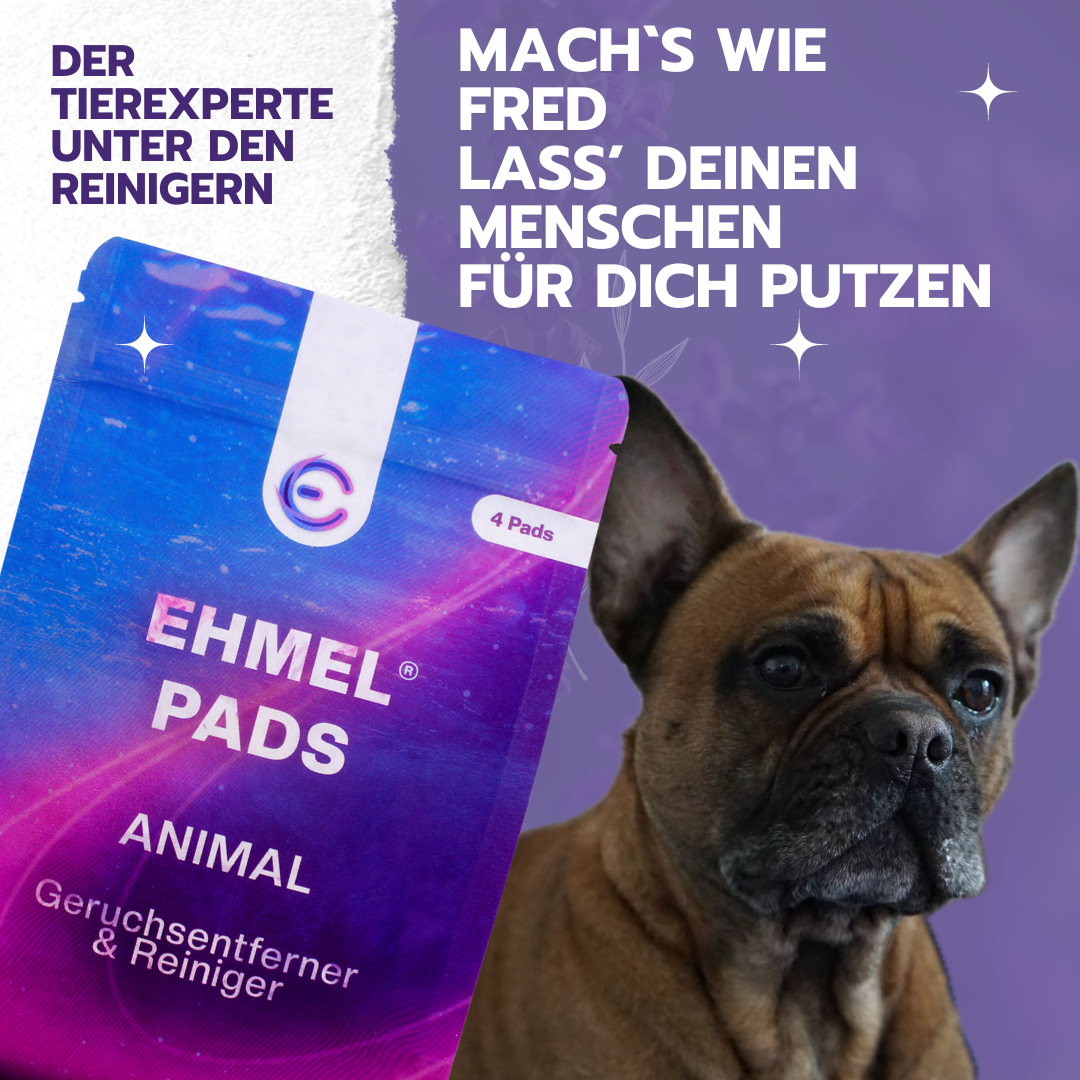 EhmelStuff Nachhaltige Umweltfreundliche Ökologische Chemiefreie Reinigungsmittel Animal Fred Reiniger