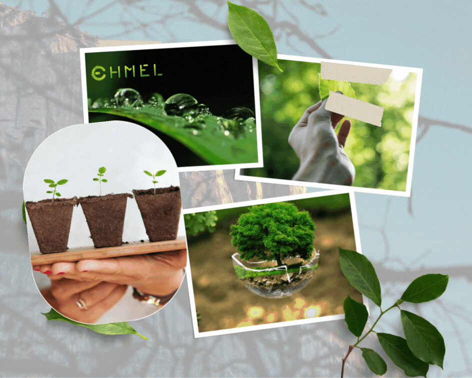 EhmelStuff Nachhaltige Umweltfreundliche Ökologische Reinigungsmittel Vegan Chemiefreies Grünes Reinigen Collage