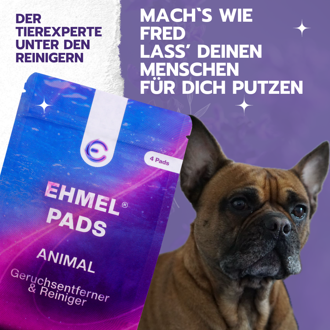 EhmelStuff Nachhaltige Umweltfreundliche Ökologische Chemiefreie Reinigungsmittel Animal Fred Reiniger 