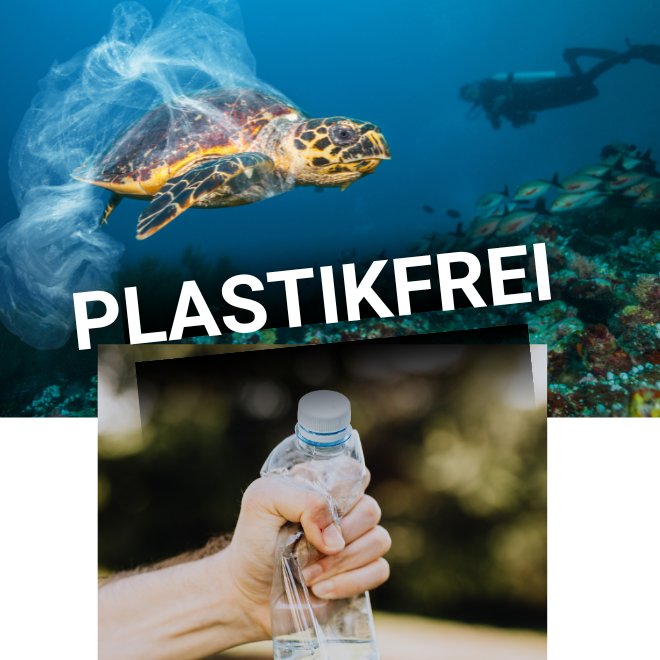 EhmelStuff Nachhaltige Umweltfreundliche Ökologische Chemiefreie Reinigungsmittel Plastikfrei
